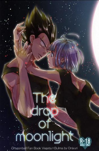 Abuse The drop of moonlight- Dragon ball z hentai Doggystyle