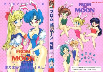 Porn From the Moon Gaiden- Sailor moon hentai Drunk Girl